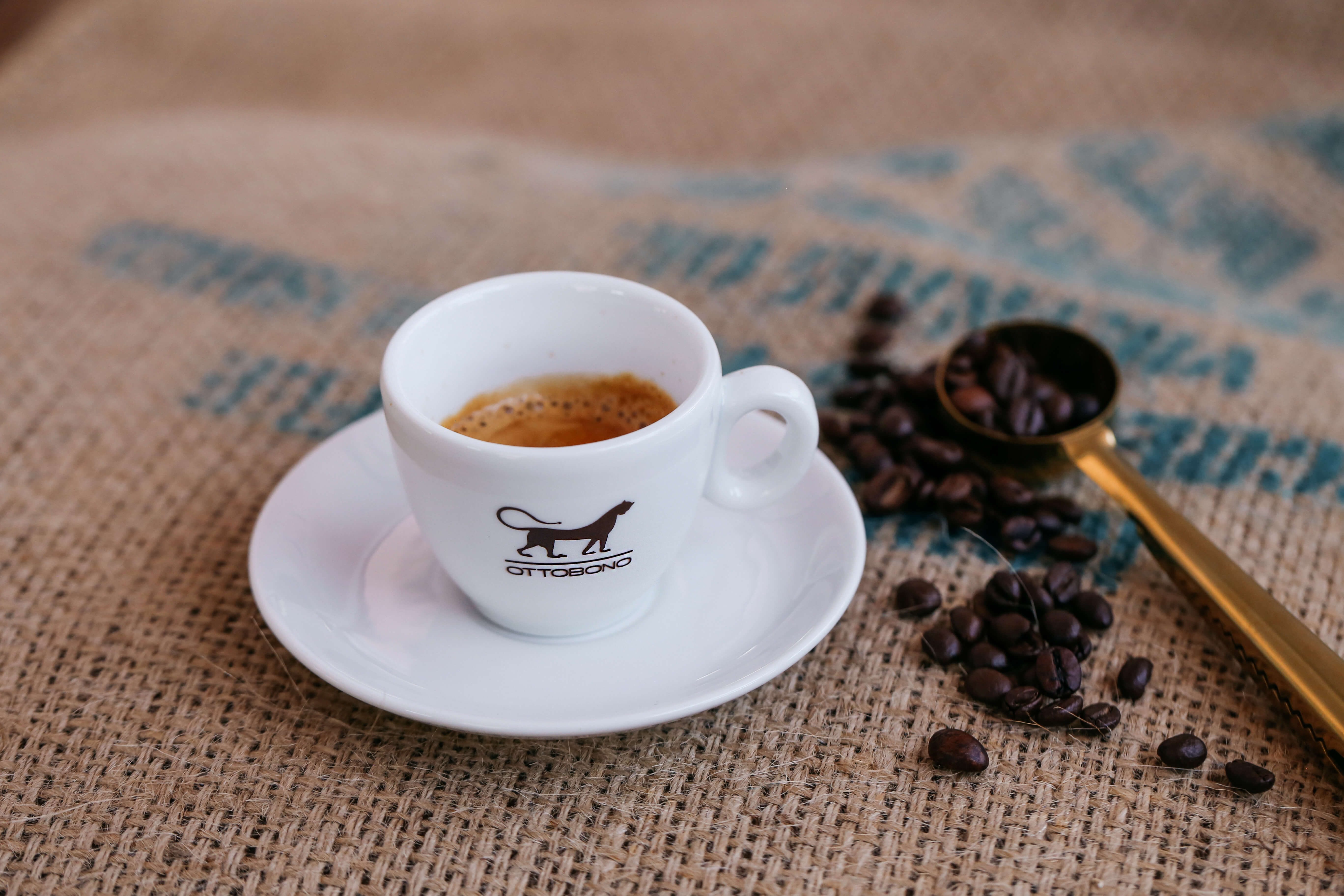 【USED】Richard Ginori F-88 コンポート　コンポティエ Richard Ginori limited edition coffee cup – CODECO SRL